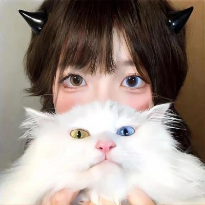 第四片甲骨